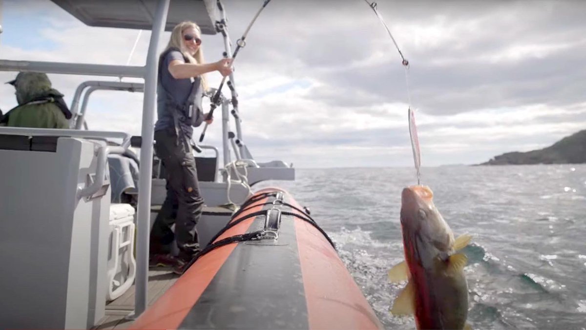 KastineColeman's tweet photo. Did you catch our episode this week cod fishing, snorkeling & exploring with Explore Newfoundland
On @sportsmancanada ?
It has aired 2x already, with Friday 8pm, Saturday 2am & Sunday 8:30am left this week (NST)
🎥 Jake Dicks
#codfishing
#explorenl #tightloopstightlines https://t.co/t0IQneDhei