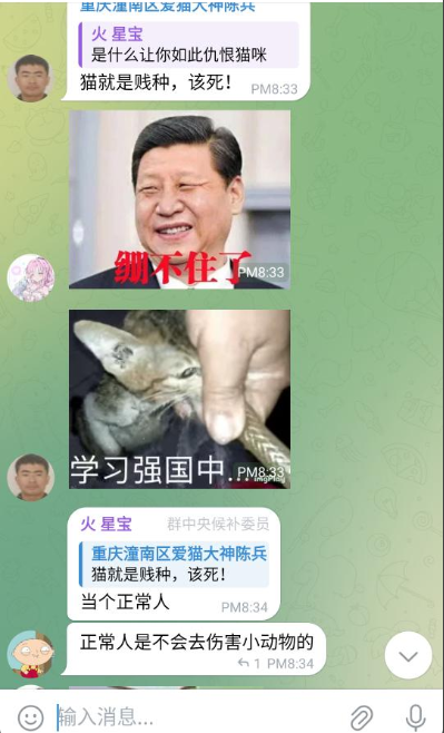 CatAbusers_CN's tweet photo. This poor kitten was yet another cat tortured by the Chinese abusers unfortunately. They created @telegram stickers out of the video. Gore content produced by #CatAbusersChina is again and again, spread internationally. It's not the first time, it will not be the last time. #c31k https://t.co/qfq4eBjqGF