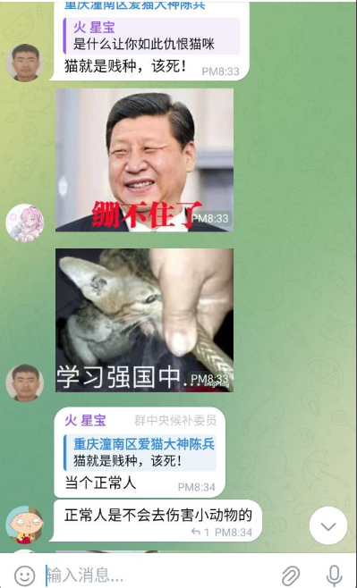 Cat abusers created @telegram stickers using videos of #chinacat t0rture. The lack of animal laws indirectly encourages them to disseminate gruesome content globally, promoted by terr0rist groups like #c31k

@AmbXieFeng 

#chinacats #HainanExpo2024