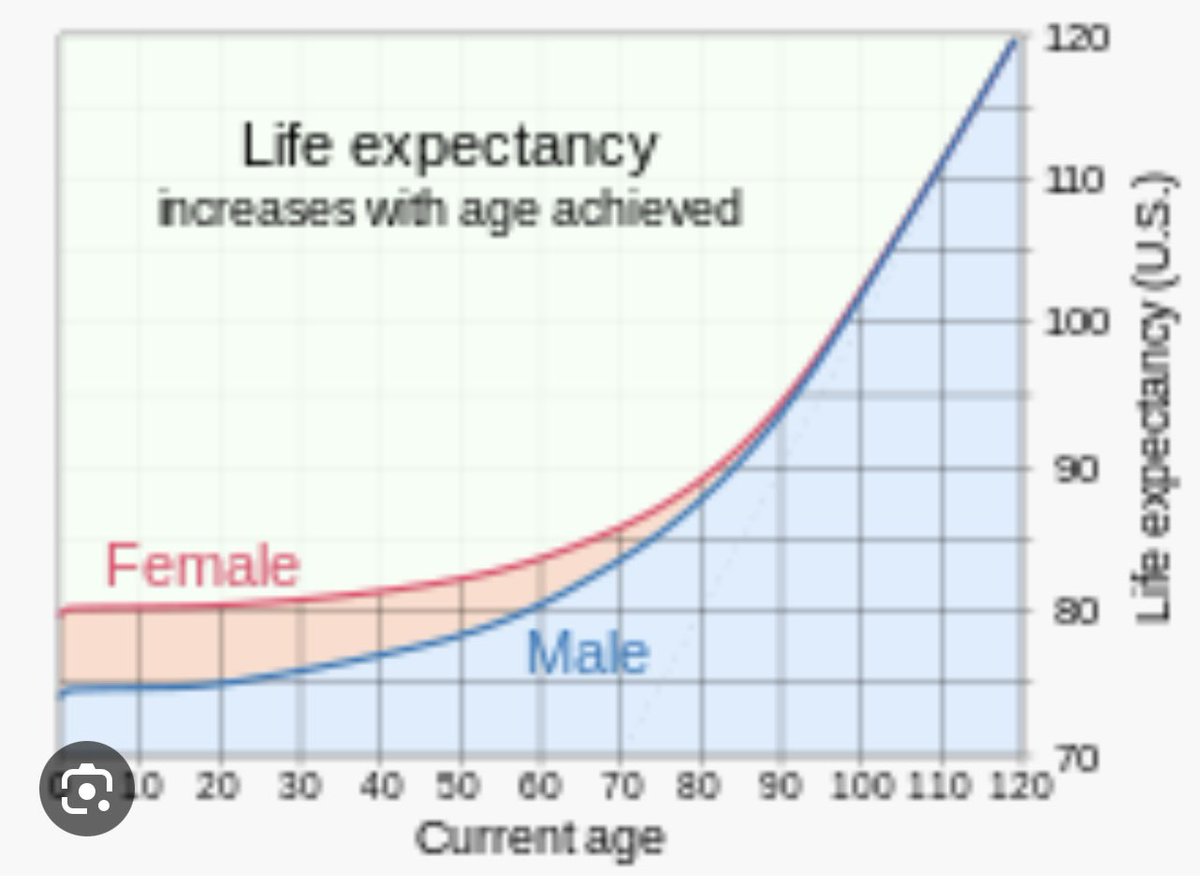 Tomás Casanegra tweet media