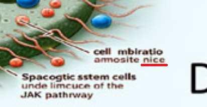 Joey Tidei tweet media