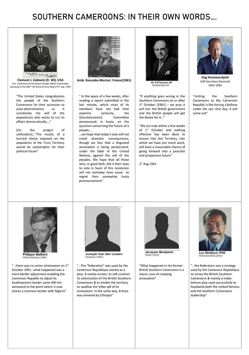 SOUTHERN CAMEROONS /AMBA ACTIVISTS FRONT (SCAAF) tweet media