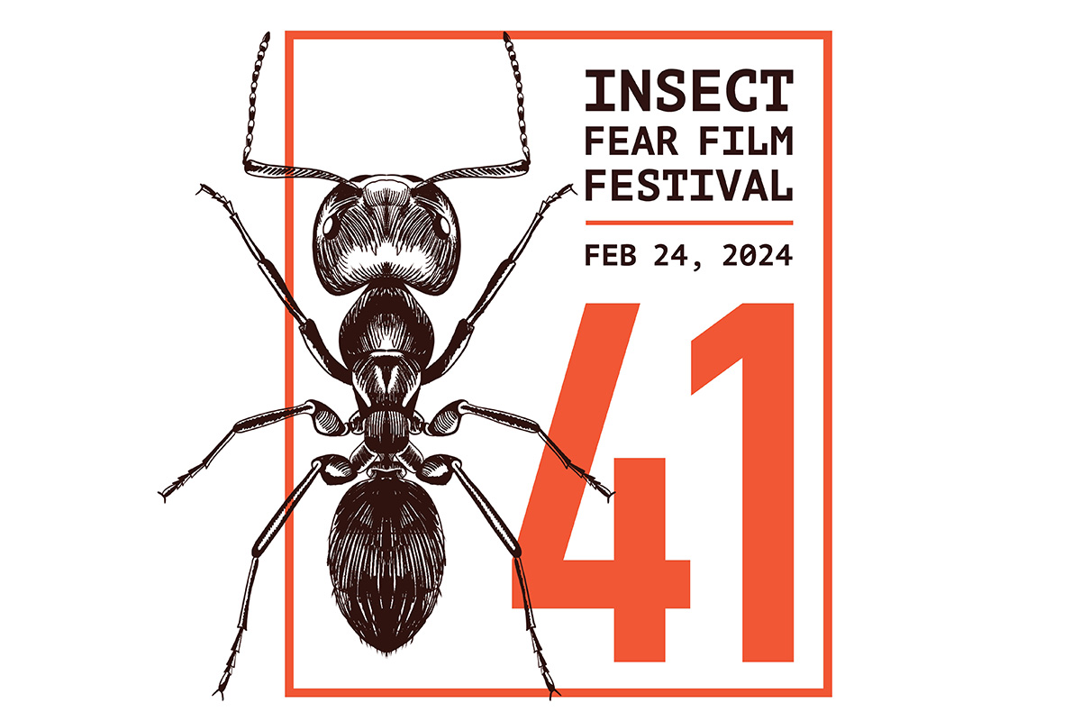 The 2024 Insect Fear Film Festival will feature films in which humans are shrunk to the size of ants and participate in ant societies. This year’s festival theme considers why humans and other mammals can’t be the size of insects. ▶️ go.illinois.edu/InsectFearFilm…