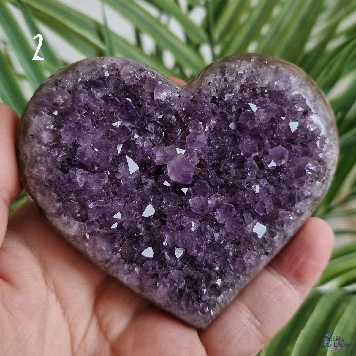 KateTLCL's tweet image. Feeling stressed? Hold on to a piece of Amethyst and let it's calming energy wash over you like a gentle wave, soothing your mind and spirit

#crystalhealing #crystalshopuk #newtocrystals #mindbodyspirit #crystallover