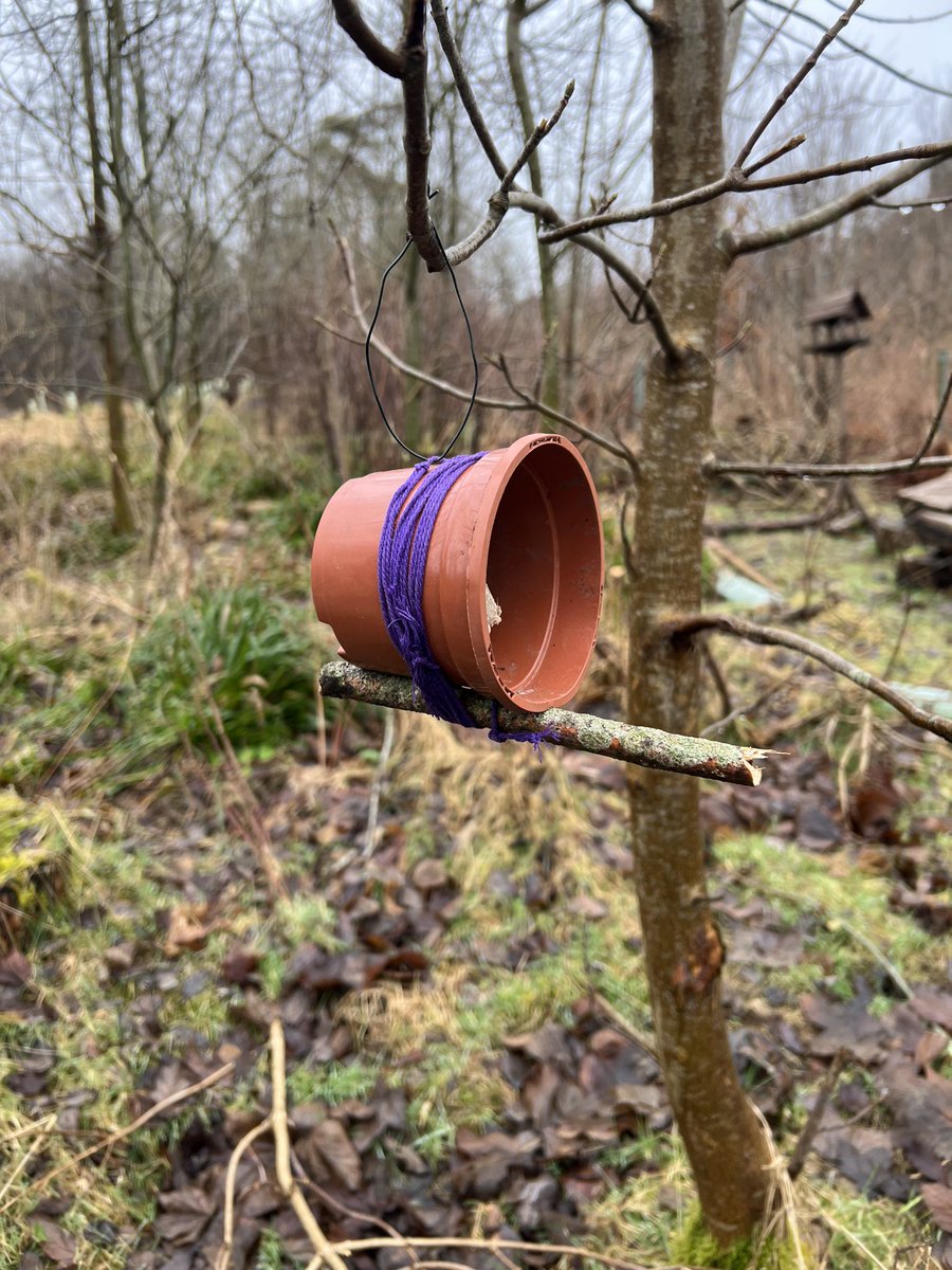 Go Wild Scotland Ranger tweet media