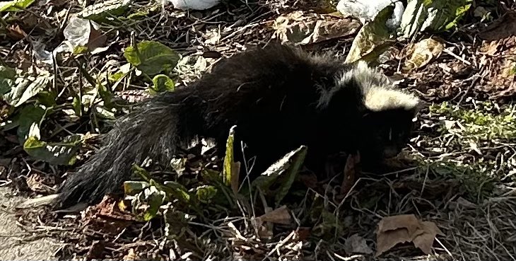 LilGreenHead's tweet photo. Mf was glaring https://t.co/wfLmXdrcX7