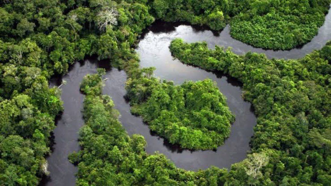 🔹Amazon Yağmur Ormanları'nın neredeyse yarısı kuraklık, ormansızlaşma ve yangınlar nedeniyle 2050'ye kadar yok olabilir.