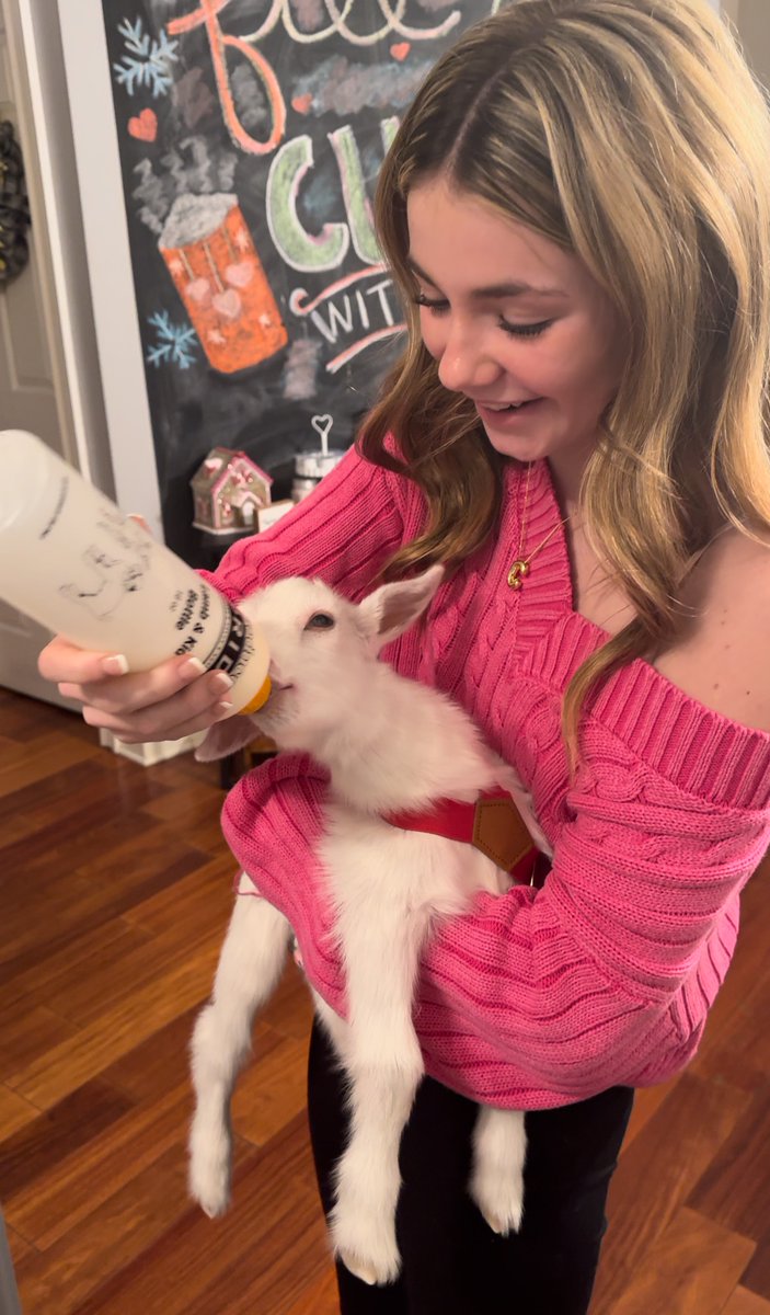 Northern Burlington Co. Reg. School District tweet media