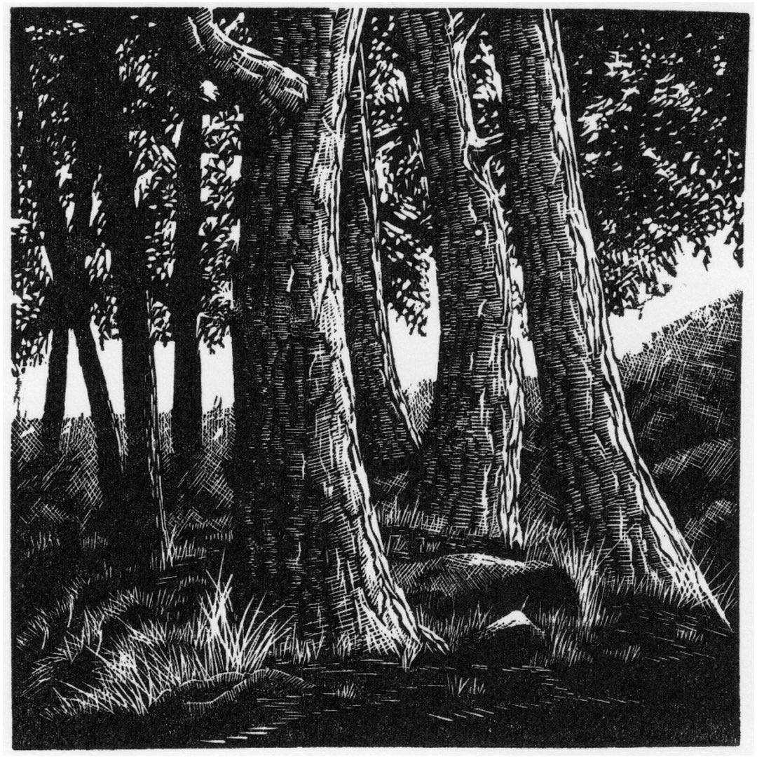 John Altringham - Ilkley Moor (Four Pines) From the 86th SWE Annual Exhibition, at Bankside Gallery in London until 25th February. Engravings are also available from our website. societyofwoodengravers.co.uk #printmaking #woodengraving