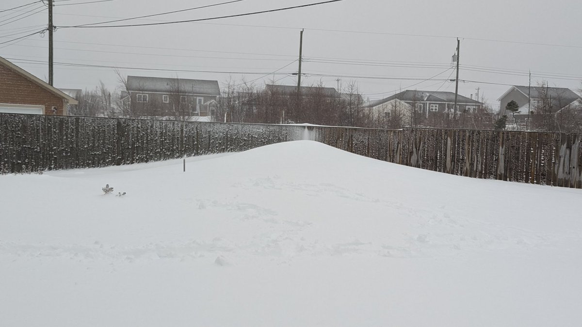 rcbstormpost's tweet photo. Still snowing in #GanderWest, more of a wet texture this afternoon. Measuring 57 cm as of 5pm. More to come! #nlwx https://t.co/GkAJdPxikB