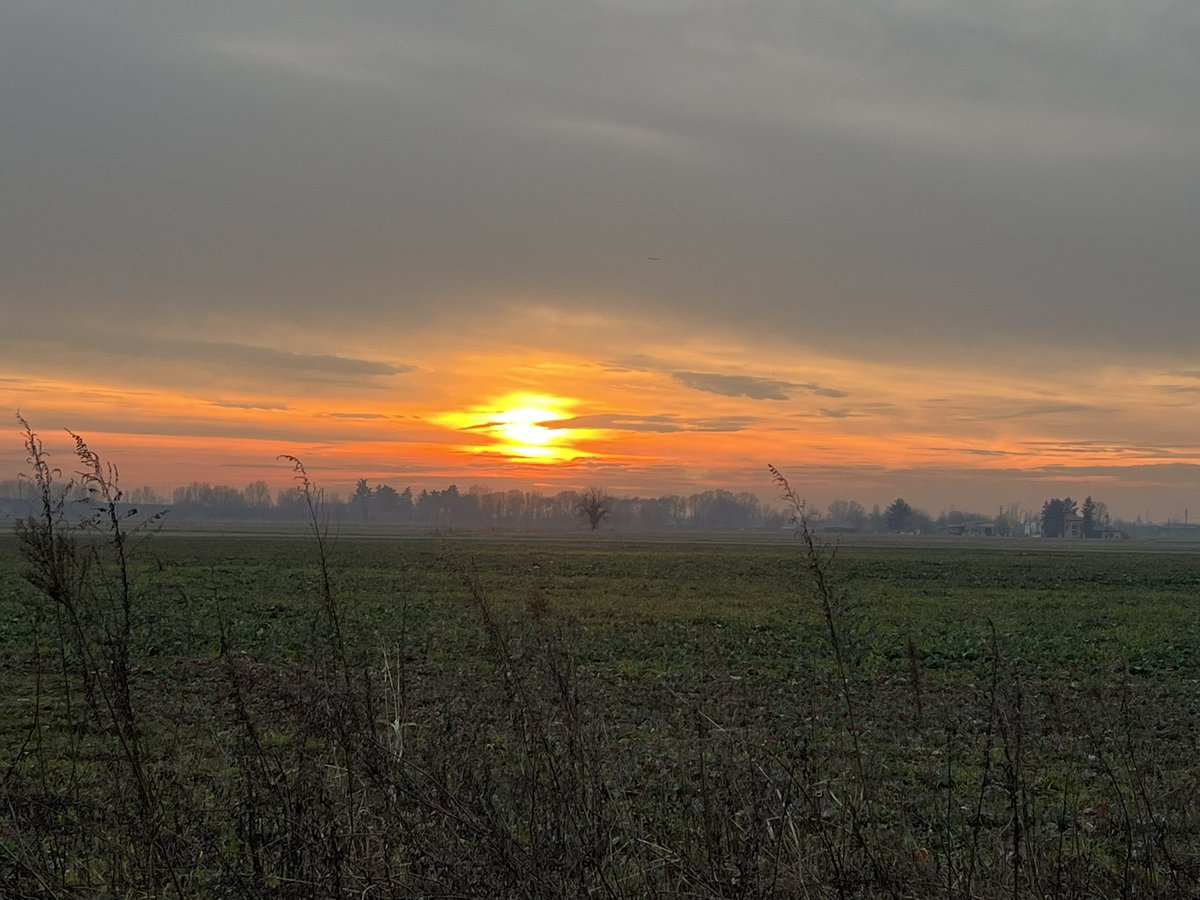 Wainer 🇮🇹 (@wainerpe) on Twitter photo 