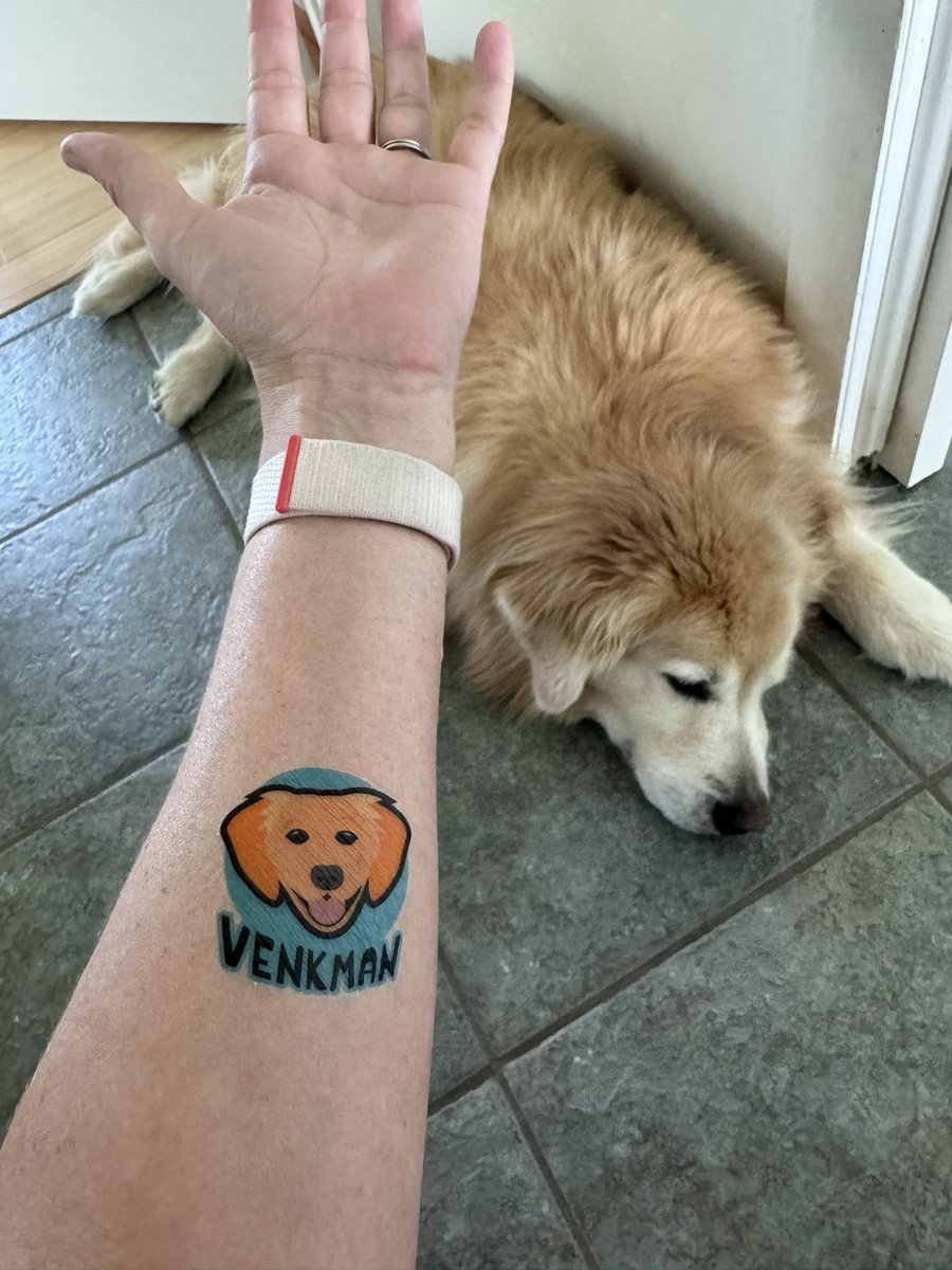 The mystery swag for people who donated to support my Boston Marathon run are Vink temporary tattoos and they arrived today and they are glorious!