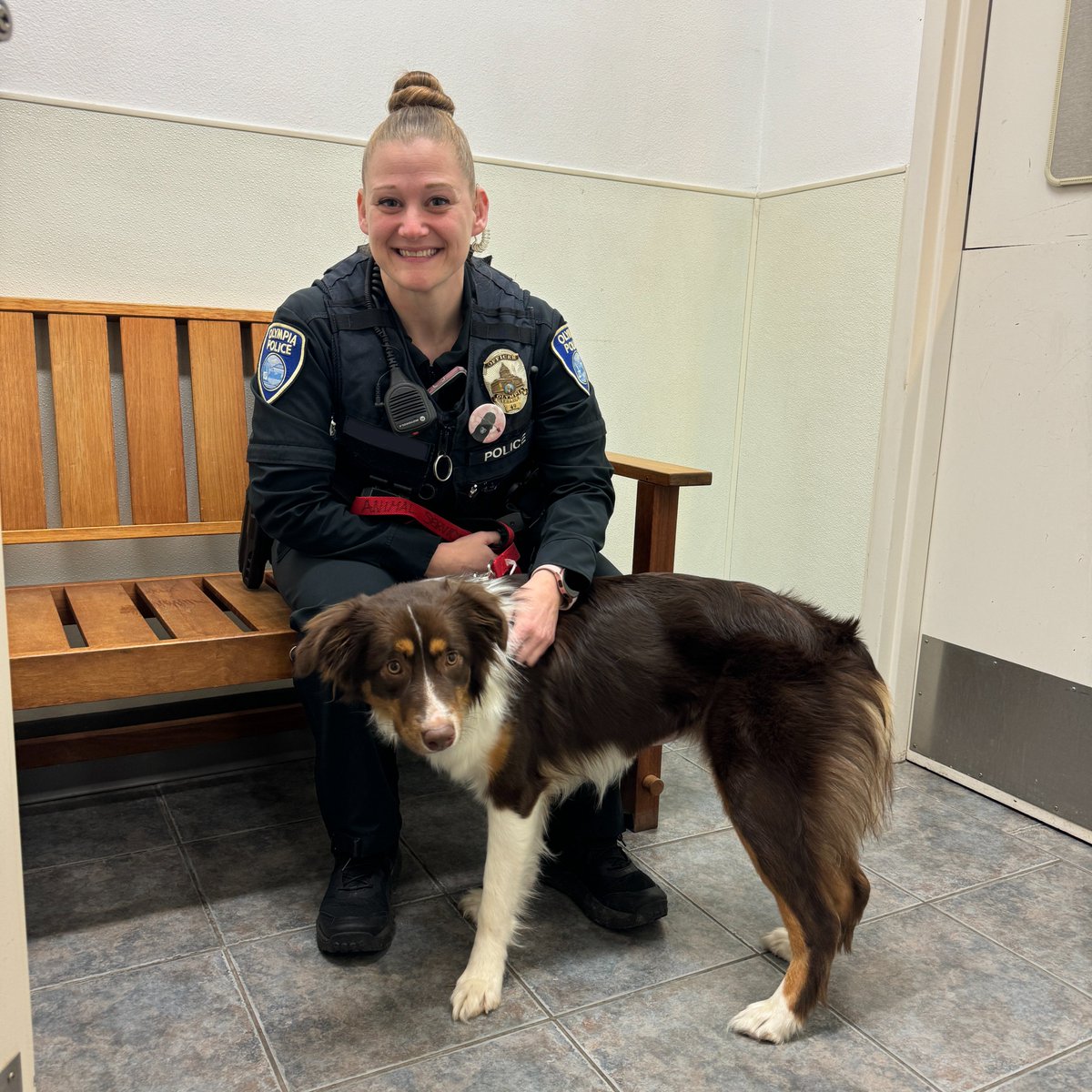 Yesterday officers stopped by @AnimalServices  to visit with some of their adoptable pets.

If you are looking for a furry companion check out Mugsy, Greta, Raegan & Cherry Garcia's profiles on the Joint Animal Services website! jointanimalservices.org/available-pets/