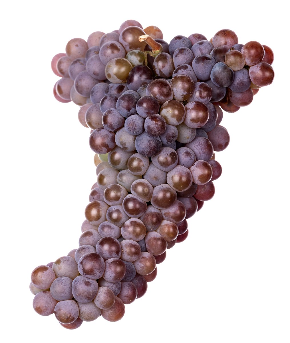 Hakobi Vordi, an indigenous Armenian wine grape, is often overlooked despite its unique characteristics. This grape variety originated in the Vayots Dzor region, which is renowned for being the birthplace of many wine grapes in Armenia.