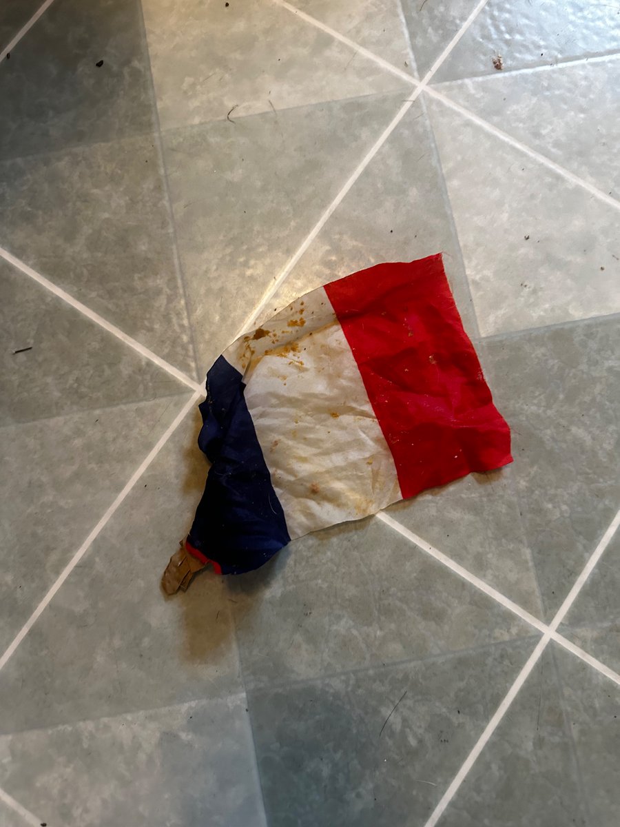 You think you’ve seen it all and then your 13-year-old blind beagle throws up the French flag in the middle of the night.