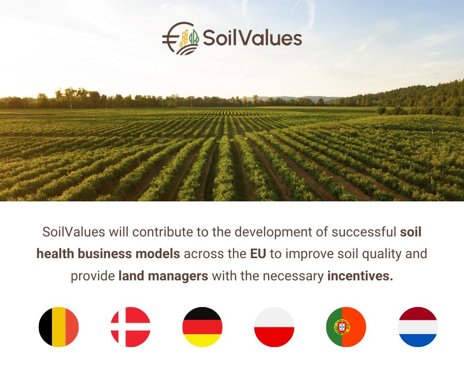 🌱🔎 A #CONSULAI tem o orgulho de fazer parte do projeto <a href="/SoilValues/">SoilValues</a> financiado pelo programa HEuropa. O projeto visa investigar modelos de negócio assentes em práticas que promovam a saúde do solo e formas eficazes de os incentivar. Saiba mais aqui: buff.ly/49hLqv5 👀