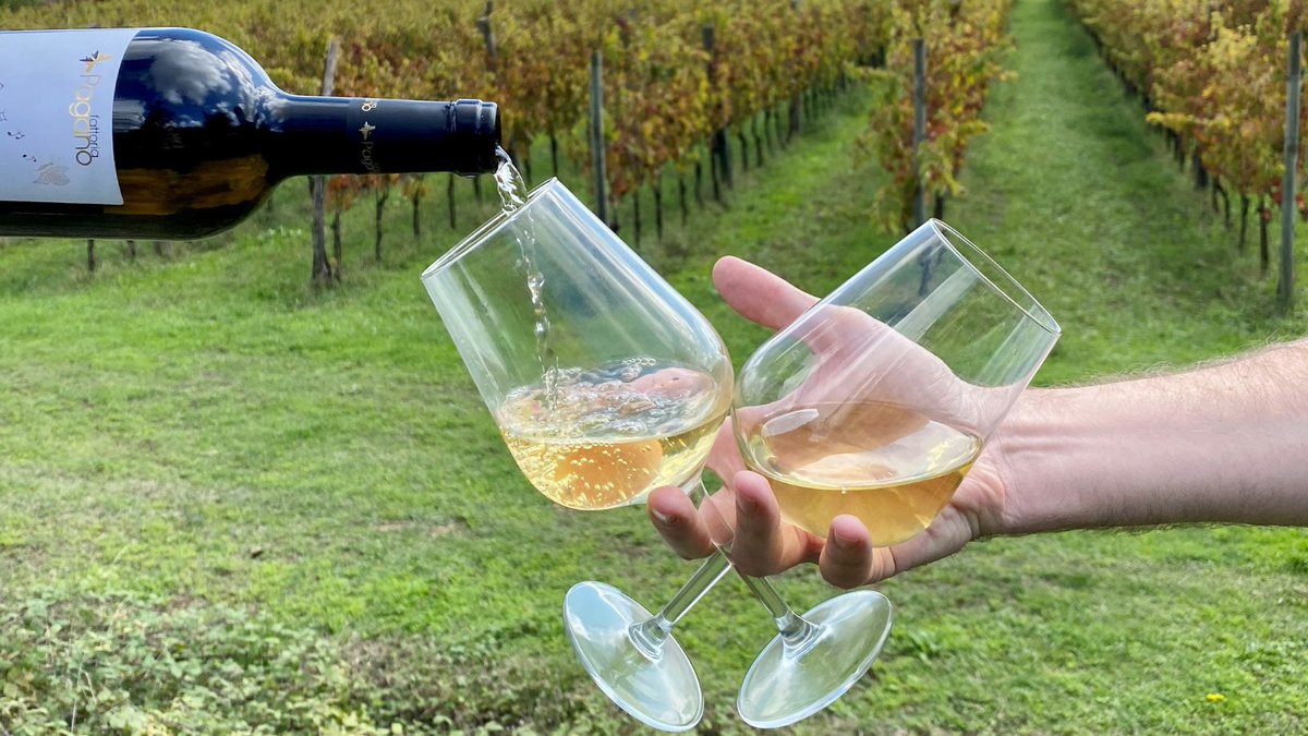 🍾Delicious #OrganicWine that's certified from harvest to bottle? <a href="/VintageRootsLtd/">Vintage Roots</a> have got you covered

Use SOIL5 at the checkout and they'll donate 5% to us - it's win/wine! 🍷

👉 vintageroots.co.uk