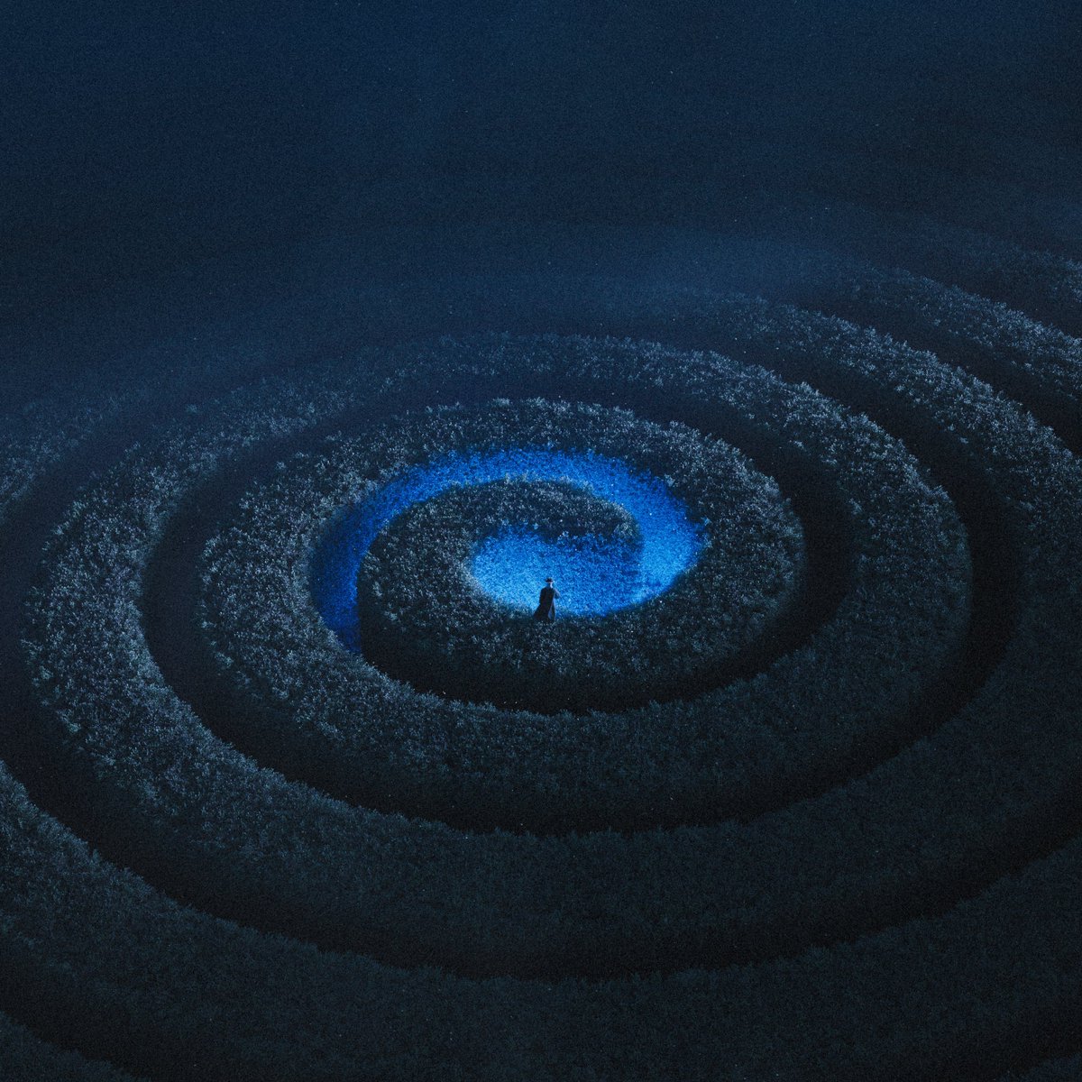 hytrape's tweet photo. 14 DIGITAL ARTIST TO FOLLOW IN 2024 [THREAD] https://t.co/YrpiP6tHvh
