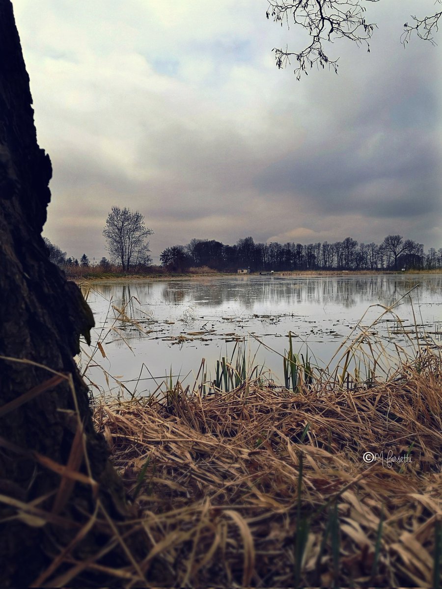 Outdoor...
#pond #trees #clouds #sky #water #cielo #nuvole #landscape #paesaggio #nature #Poland #Polonia #Polska #Huawei #huaweiphotography