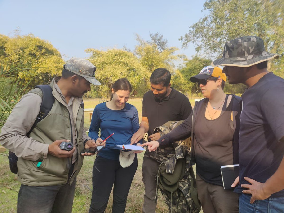 Wildlife Institute of India tweet media