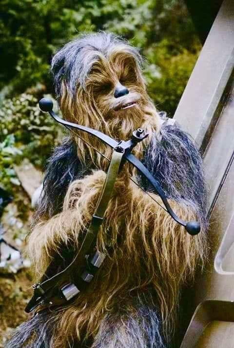 AstromechJ's tweet image. Show some love for #Chewie 

#Chewbacca #ReturnoftheJedi