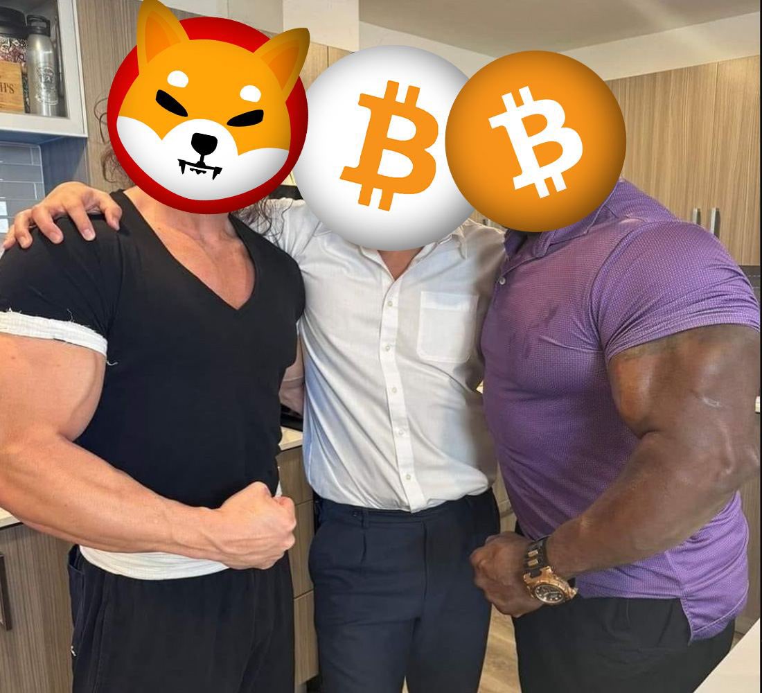 btcinucoin's tweet photo. Shiba Inu and Bitcoin proudly with their child Bitcoin Inu! 🧡

It’s a matter of time until he steps in his parents footsteps. 🚀

#memecoin #bitcoin #shibainu https://t.co/wfRRizfa17