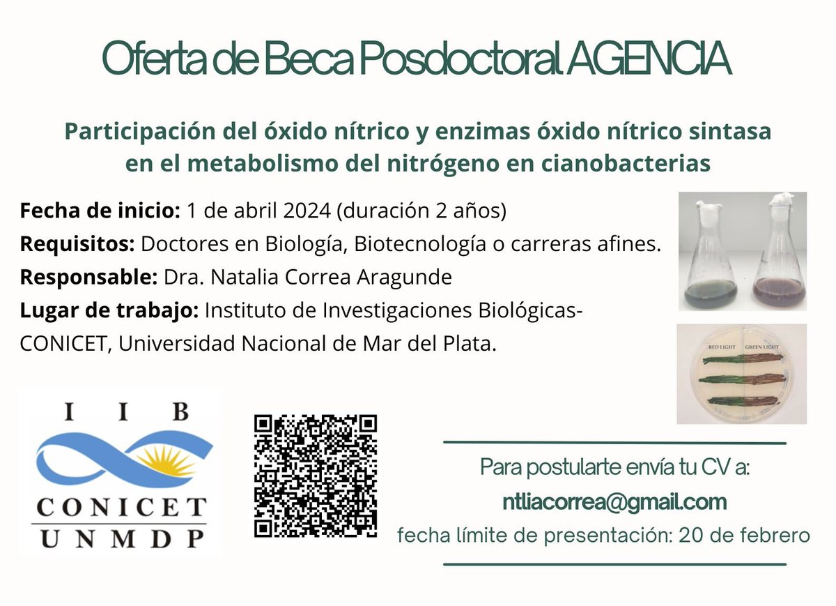 El grupo de investigación Fisiología Molecular e Integrativa del IIB busca becario/a/e posdoctoral👇