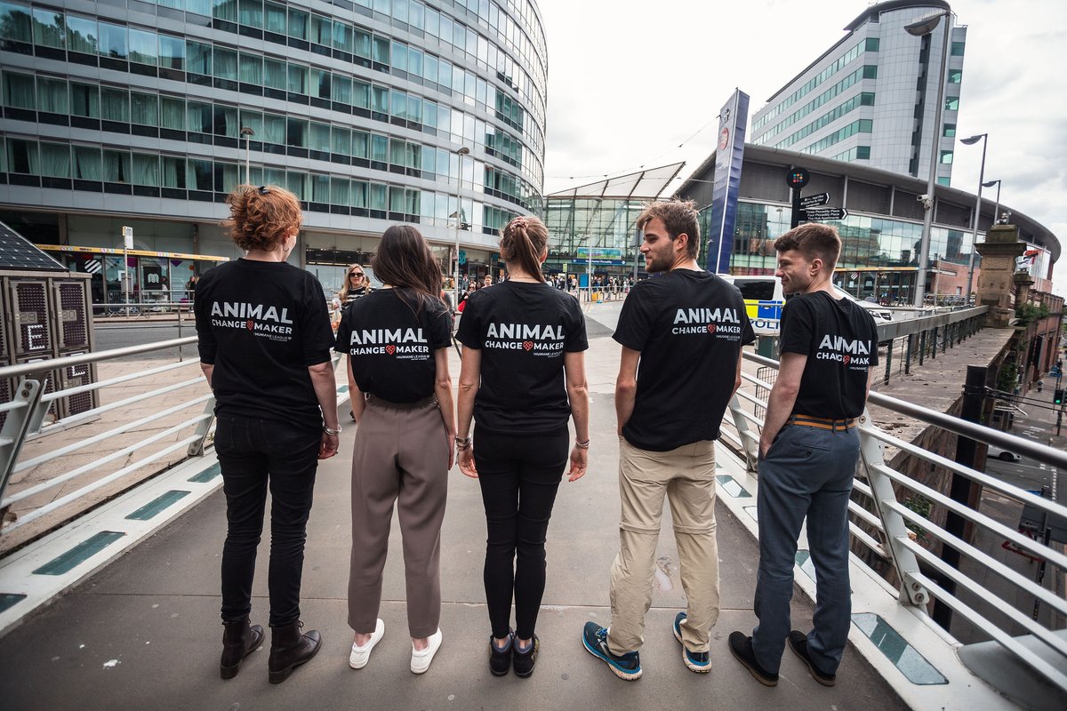 humaneleagueuk's tweet photo. You're just 4 steps away from making a kinder world for animals!
1: Go to https://t.co/MhBV1WghdM
2: Fill in your info and sign up
3: Receive updates on our campaigns and tips on how to get involved
4: Start taking quick digital action for animals
#RandomActOfKindnessWeek https://t.co/15xAQkuJQU