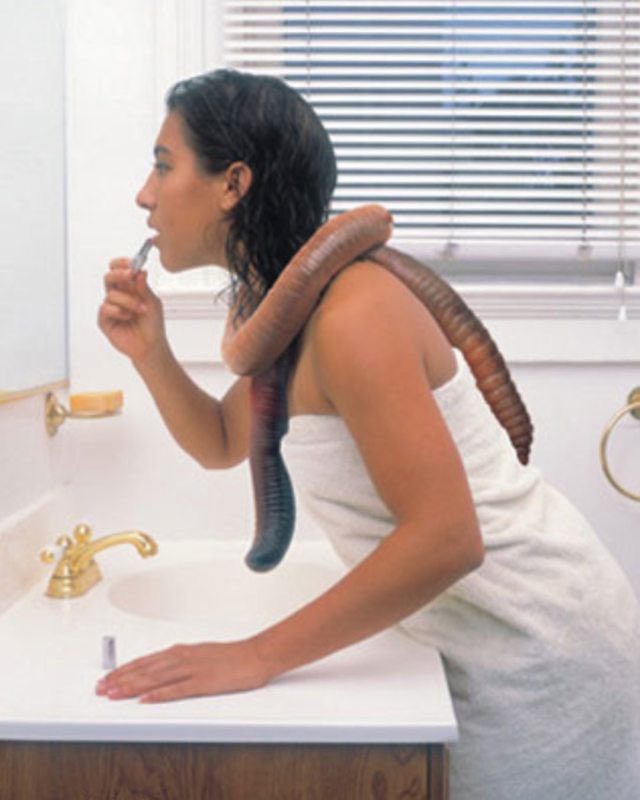 VisualNostalgia's tweet image. A Girl’s Best Friend by Margot Quan Knight (2002)