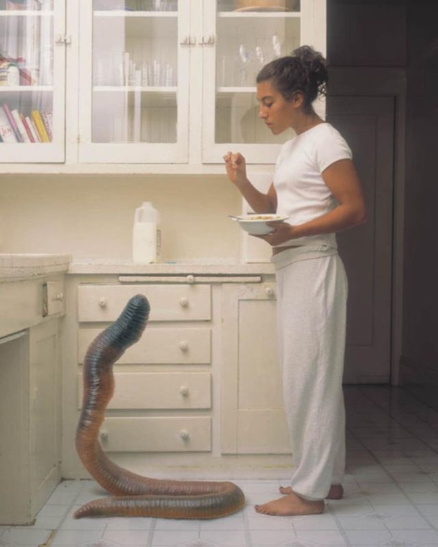 VisualNostalgia's tweet image. A Girl’s Best Friend by Margot Quan Knight (2002)