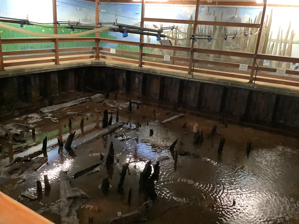 Farcet Church of England Primary School tweet media