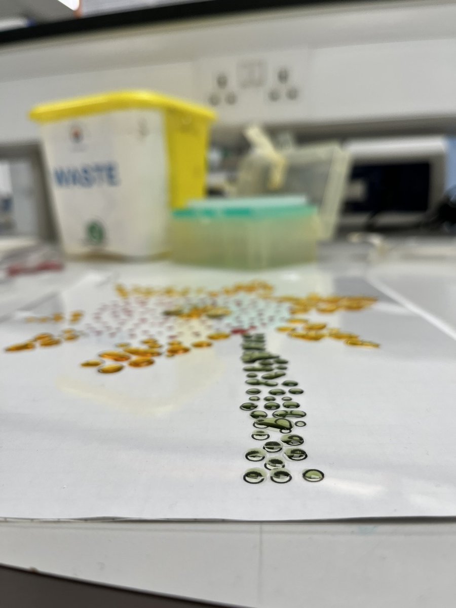 Jon Hale tweet media