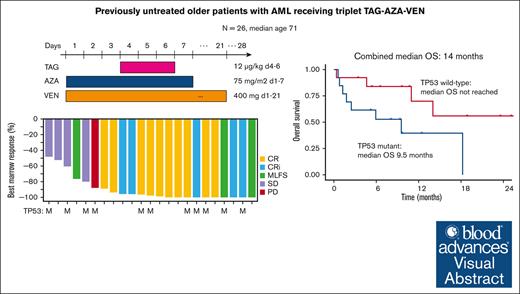 TAG-AZA-VEN has encouraging activity in older patients with previously untreated, adverse-risk AML, including with somatic TP53 mutations. ow.ly/LP9f50QzfoE #clinicaltrialsandobservations #myeloidneoplasia