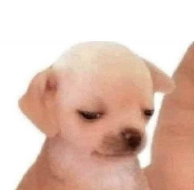 emmuls_'s tweet photo. Came back to my computer and polo g was blasting for the entire office to hear bc my headphones disconnected https://t.co/0TrMpU8v9R
