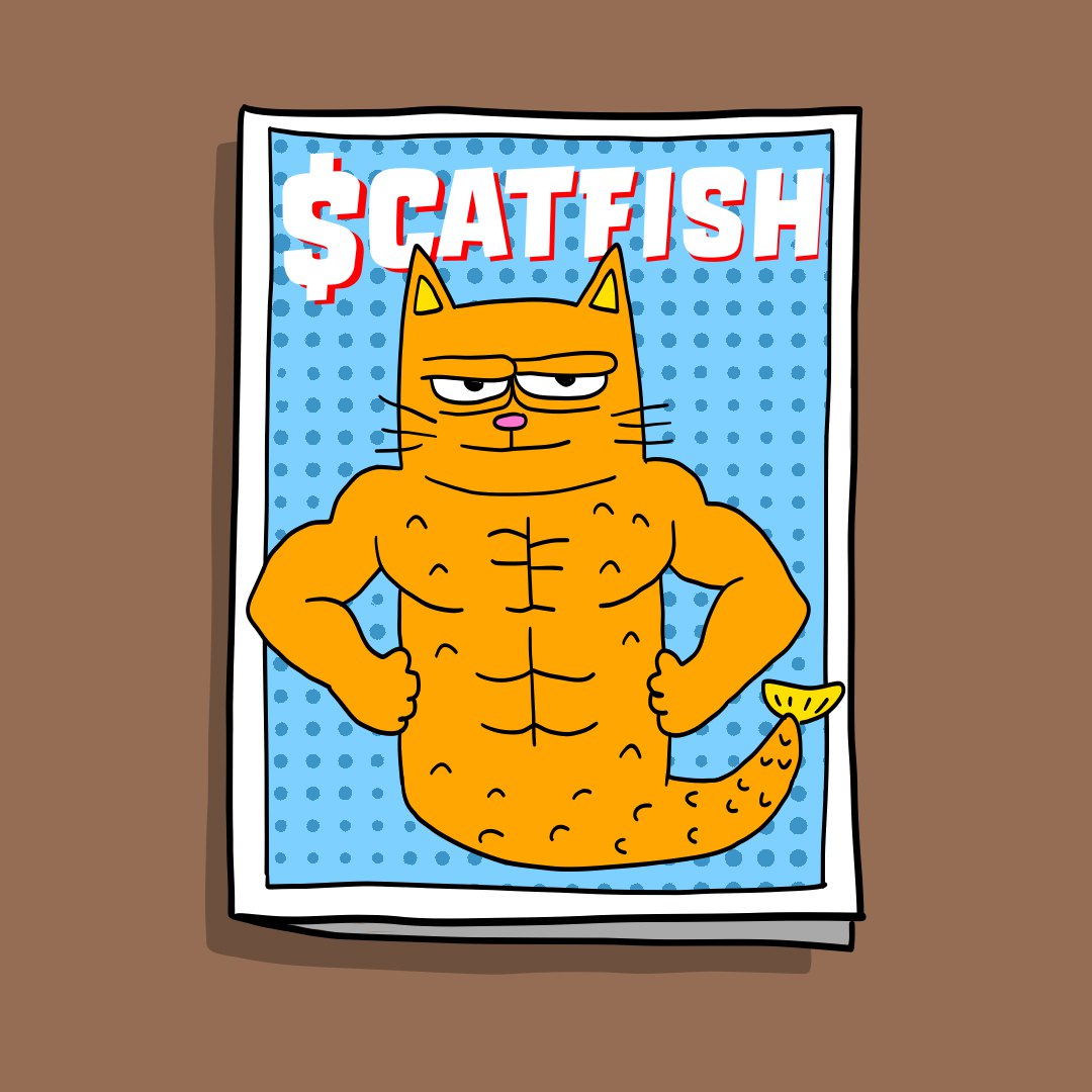 Catfish on SOL! tweet media