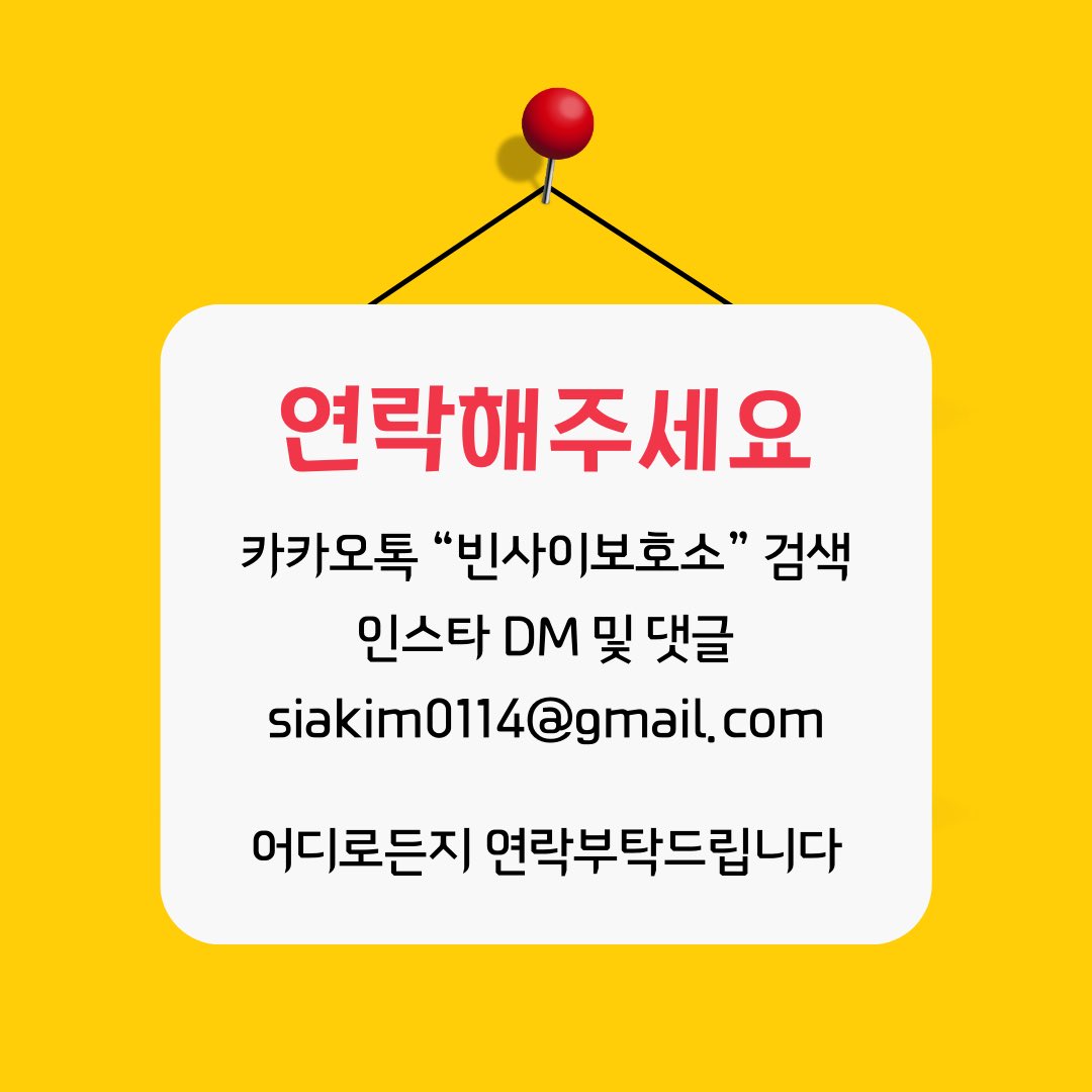 viinsaii's tweet photo. 🆘 긴급 임보처를 찾습니다 🆘
현재 유기기니피그 보호소가 꽉차서 더이상의 유기기니들을 수용할 수 없는 상태입니다
“경기/서울” 지역의 임보가능 기니집사님을 찯습니다! 그 외의 지역일 경우 내부회의해보겠습니다. https://t.co/jXF1HWkpck