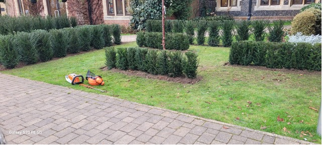 Plenty to do when the sun shines in half term!. <a href="/ReadingBlues/">ReadingBlues</a>