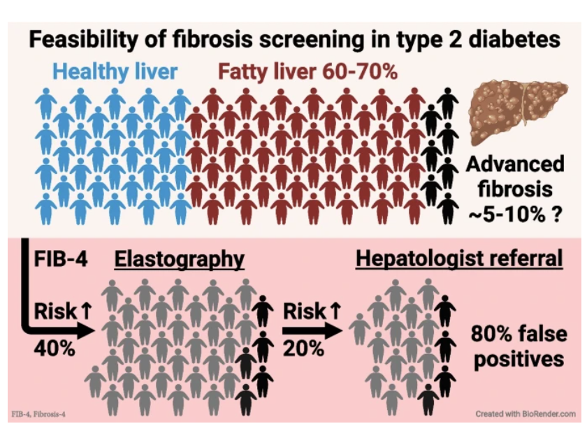 DiabetologiaJnl's tweet photo. Surveillance of the #liver in T2D: important but unfeasible? Recent #FattyLiver guidelines may overburden healthcare: 20% of #T2D patients require #hepatologist referral. Should we re-evaluate #fibrosis #screening in #MASLD? @HelsinkiUni @SamiQadriMD https://t.co/4hYxiWR7Mt 🔓 https://t.co/yc6HAEiuvh