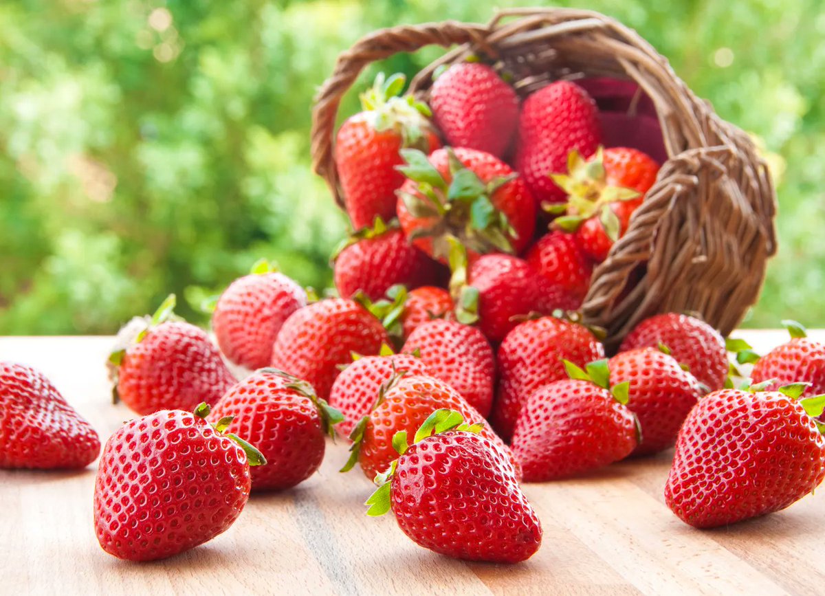 T_Divinae's tweet photo. 🍓Scopri la nostra confettura di fragole, fatta unicamente con succose fragole pugliesi !

🥰Scegli la qualità e la salute con Terre Divinae.
#cibo #Puglia #territorio #cucina #foodlover #MadeinItaly #mangiaresano #enogastronomia #sapori #ProdottiTipici

🔗https://t.co/pqGkdwYEsH https://t.co/KfAIzUISxP