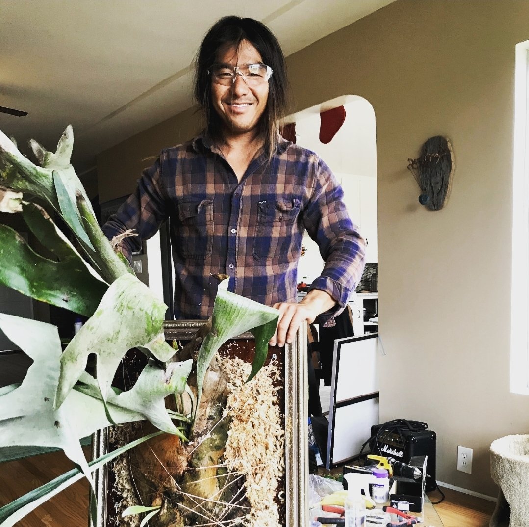 Love plants? 🌱 Tasty food? 🤤 New friends?! 💚

I've teamed up with CRUSHED Pacific Beach to bring you a fun and informative craft night focused on my favorite plant: Staghorn Fern 🫎🌿

WORKSHOP: "How to Mount a Staghorn Fern 🌿" 

When: Sun 25th 5 - 7pm

RSVP: Link in Bio