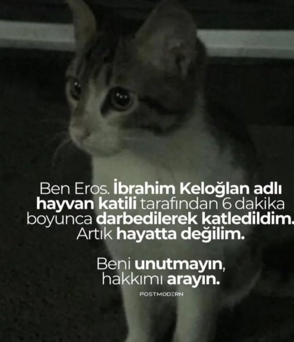 #ibrahimkeloğlanTUTUKLANSIN 
#ibrahimkeloğlantutuklansın 
#ibrahimkeloğlanpiç