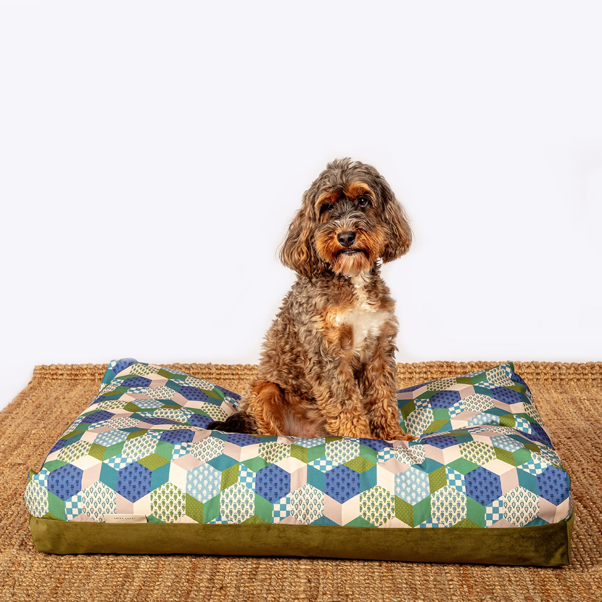 stylishdog's tweet photo. The Laura Ashley Thistle design features a beautiful duo of sumptuous moss-coloured velvet fabric and delicate patchwork cotton print. #lauraashleyuk #dogbedsuk https://t.co/ZTbNNfIfYL