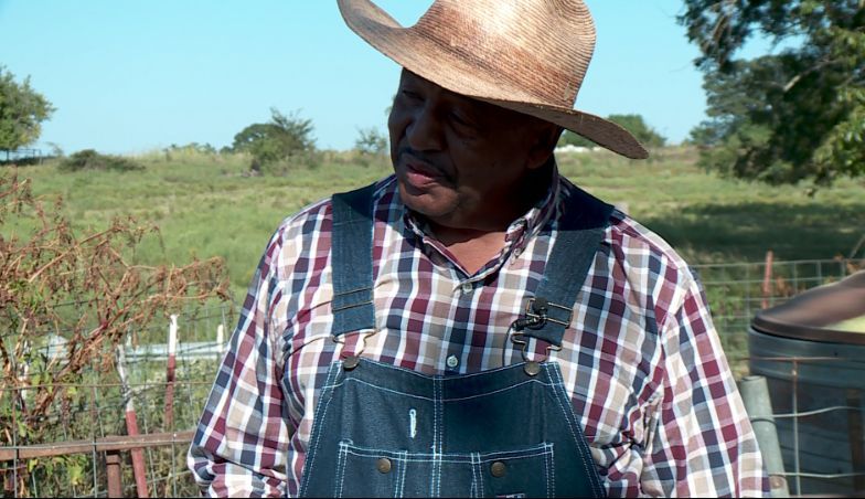 “I applied for different loans and stuff to try to get things done on the properties, but [the USDA] gives you just enough to say they helped you,"

‘What every Black farmer is going through’: Man fights for family legacy
buff.ly/42wwwP8