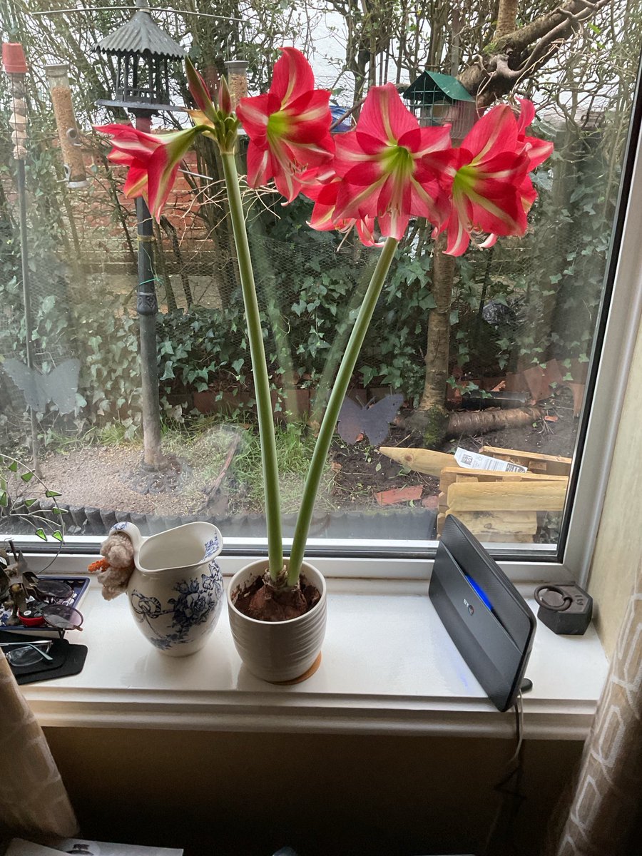 Jacqueline Pye tweet media