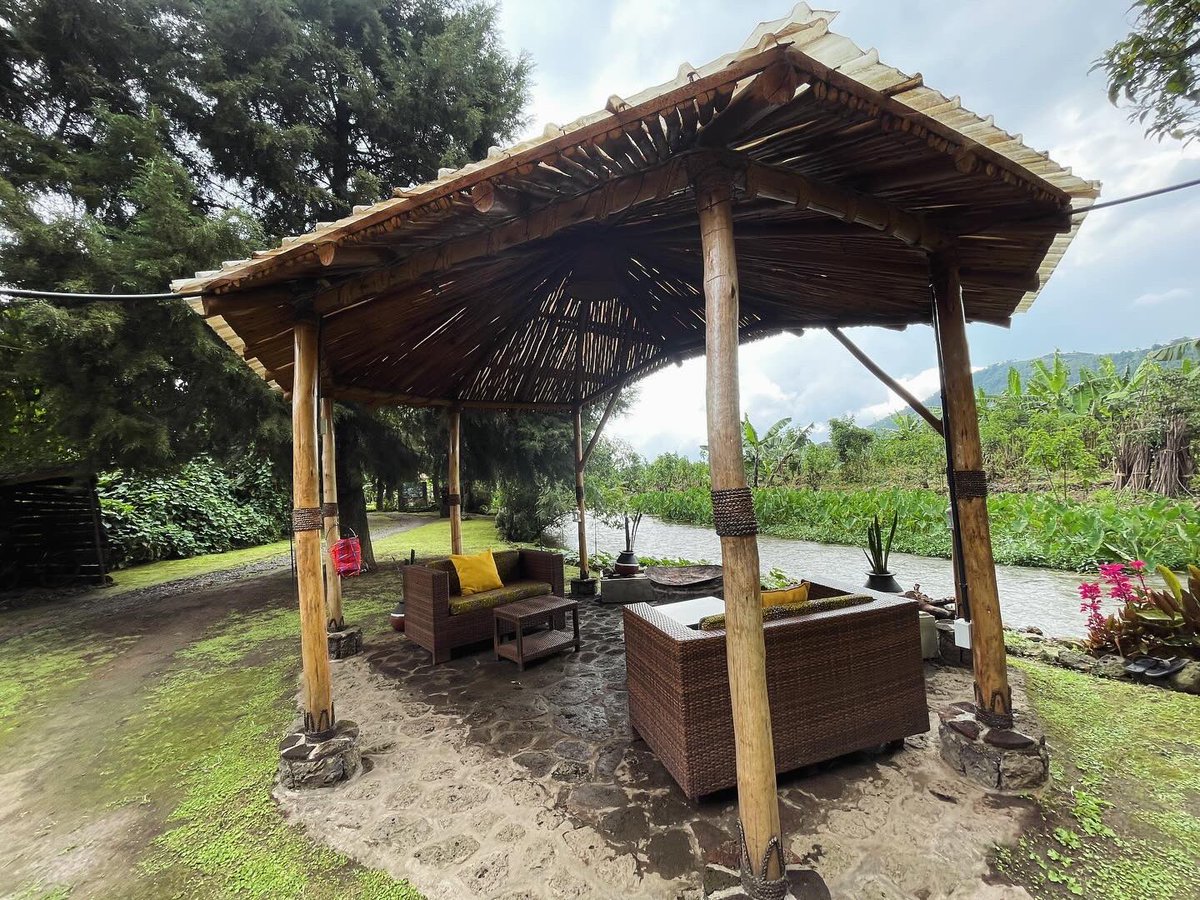 COMFORT 
Just at the riverside, beautiful views , good food and staff ,WiFi available, Comfort at its best . <a href="/muchalodges/">MuchaLodges</a> -Riverside lodge .
A few kilometers away from two major Gorilla tracking areas -Bwindi and Mgahinga gorilla parks  #gorilla 
📧 nafricansafarisltd@gmail.com