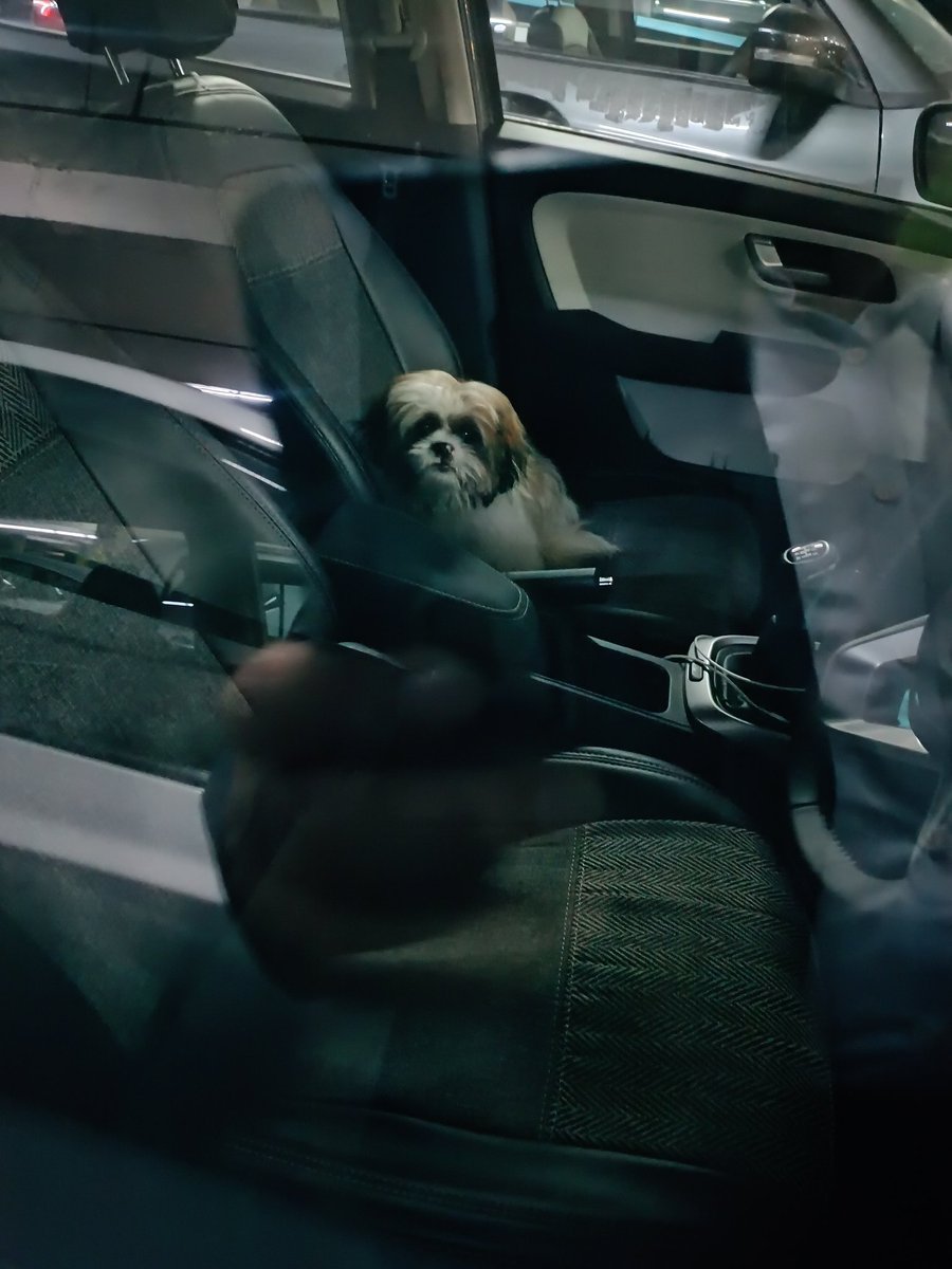 Bhaskerjit's tweet photo. @GreaterNoidaW @PetaIndia someone left the this Pet inside the vehicle at @GaurCityMall parking. #heartless #pets #petdog https://t.co/4JwcGrhxvu