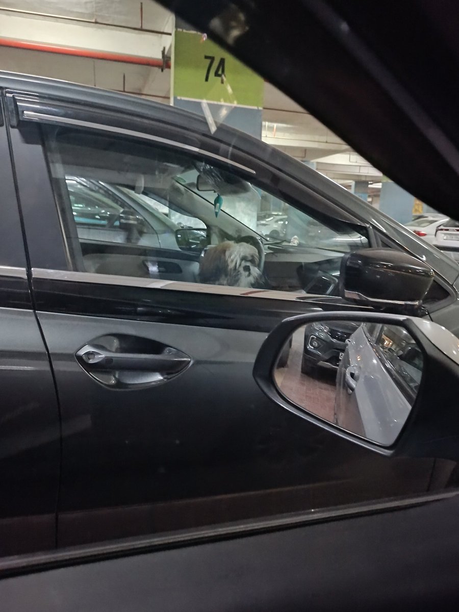 Bhaskerjit's tweet photo. @GreaterNoidaW @PetaIndia someone left the this Pet inside the vehicle at @GaurCityMall parking. #heartless #pets #petdog https://t.co/4JwcGrhxvu