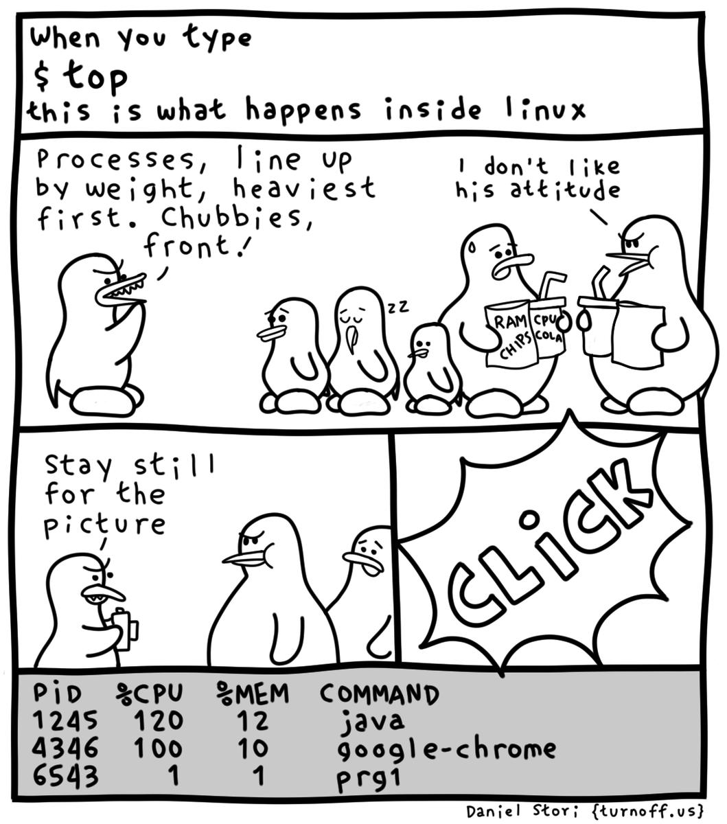 linux top explained
#linux #webcomic
