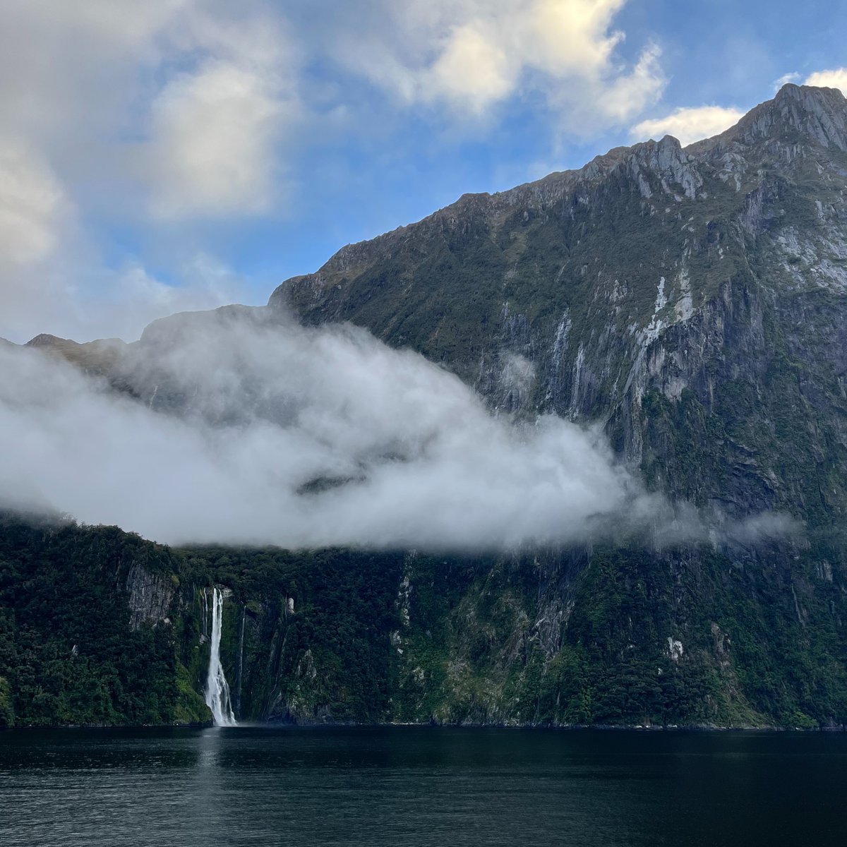 travawear's tweet photo. This week's "Travel Tips Weekly" newsletter "Destination Spotlight" focused on Milford Sound in Fiordland National Park, New Zealand!

If you love nature and waterfalls, this stunning natural wonder is a spot you must add to your travel bucket list! https://t.co/fovByghf8K