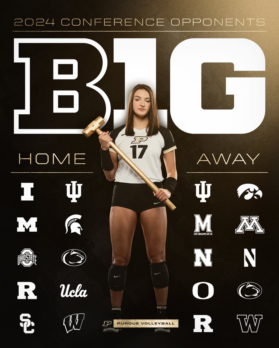 Purdue Volleyball tweet media